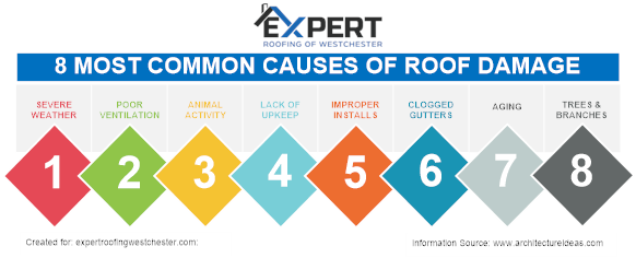 8 Common Cause for Roof Damage