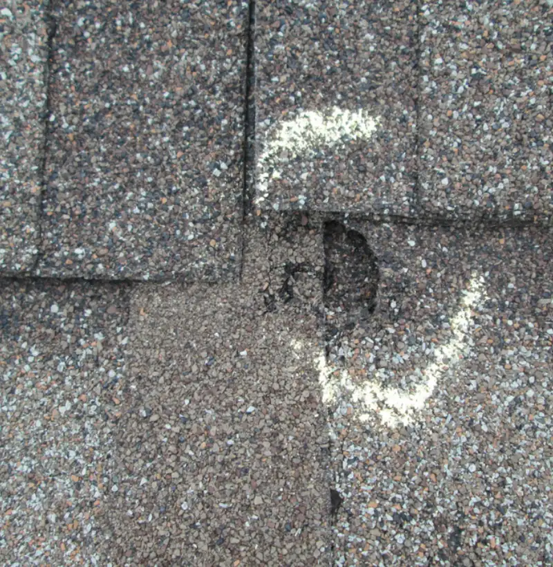 roof Leak Repair