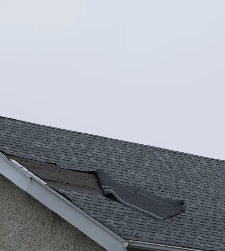 Roof Repair