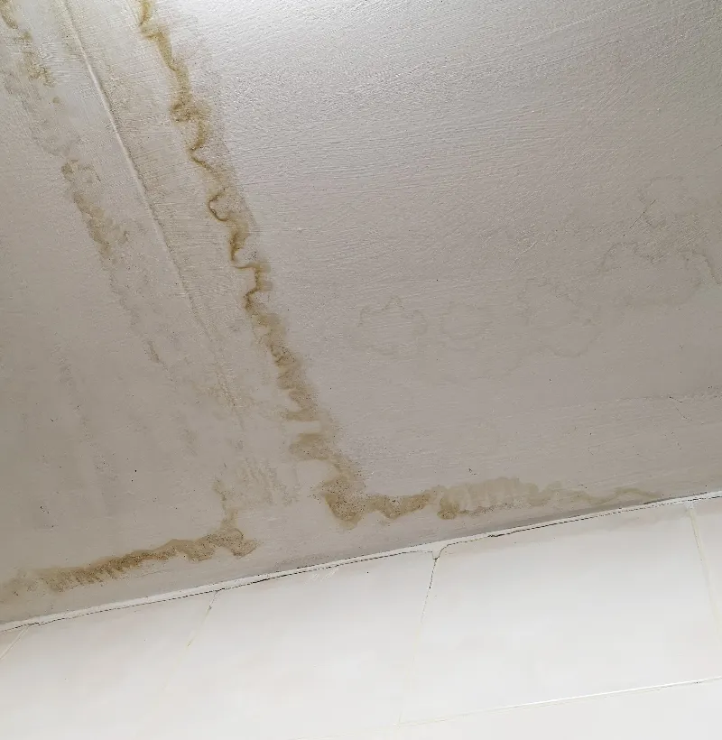 Roof Leak Repair